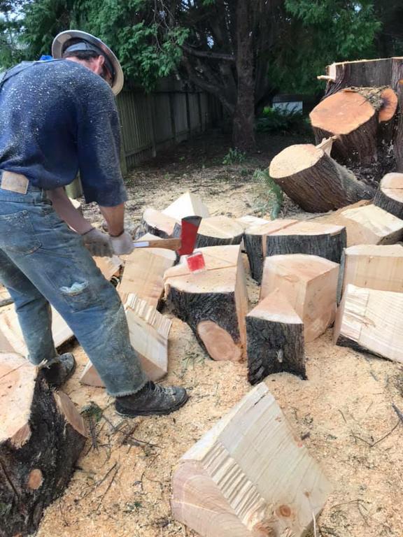 Pictures for Walker's Tree Service LLC in Shasta Lake, CA 96019